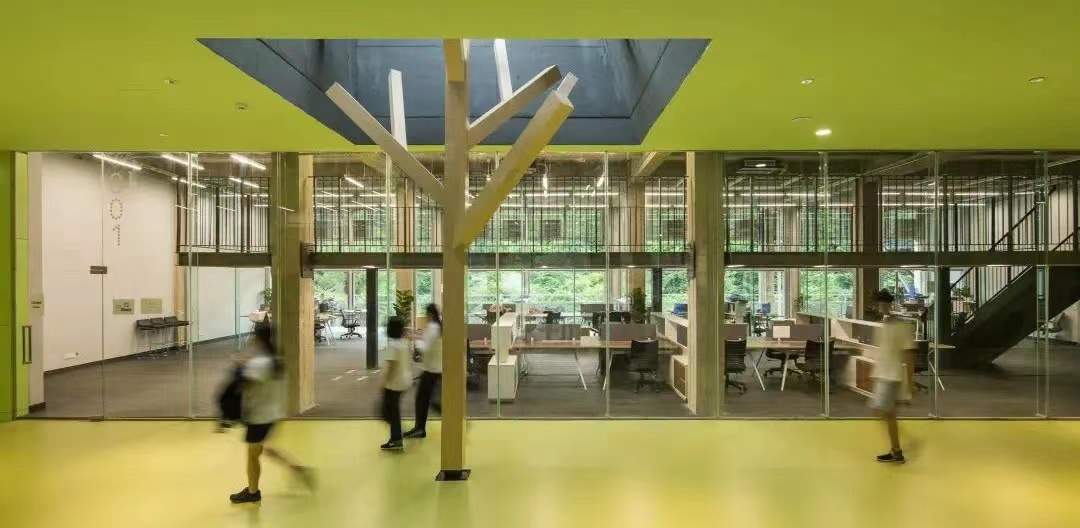 深圳明德实验学校(集团)高级中学(梅中校区)校园环境